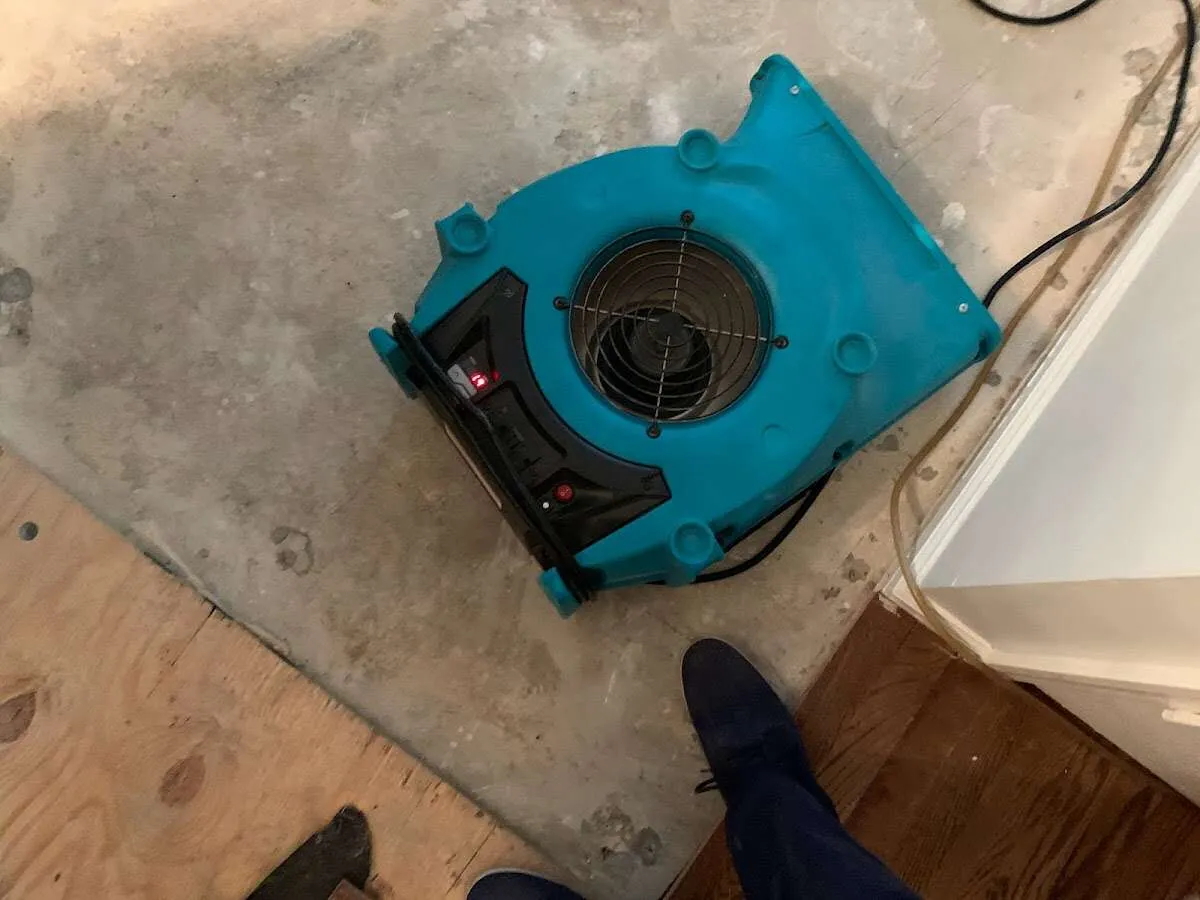 Air mover drying subfloor during Leak Detection & Repair in Centralia